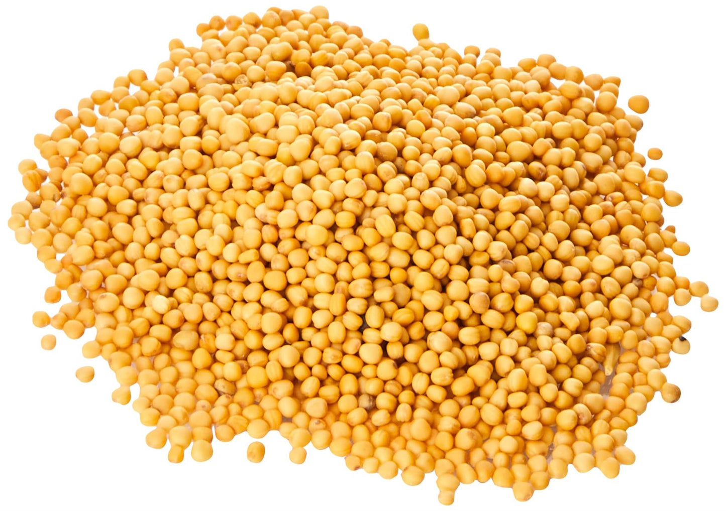 Old India Yellow Mustard Seeds 500g